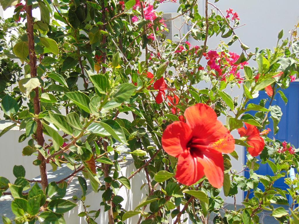 George'S Seaside Apartments Sifnos Вати Екстериор снимка